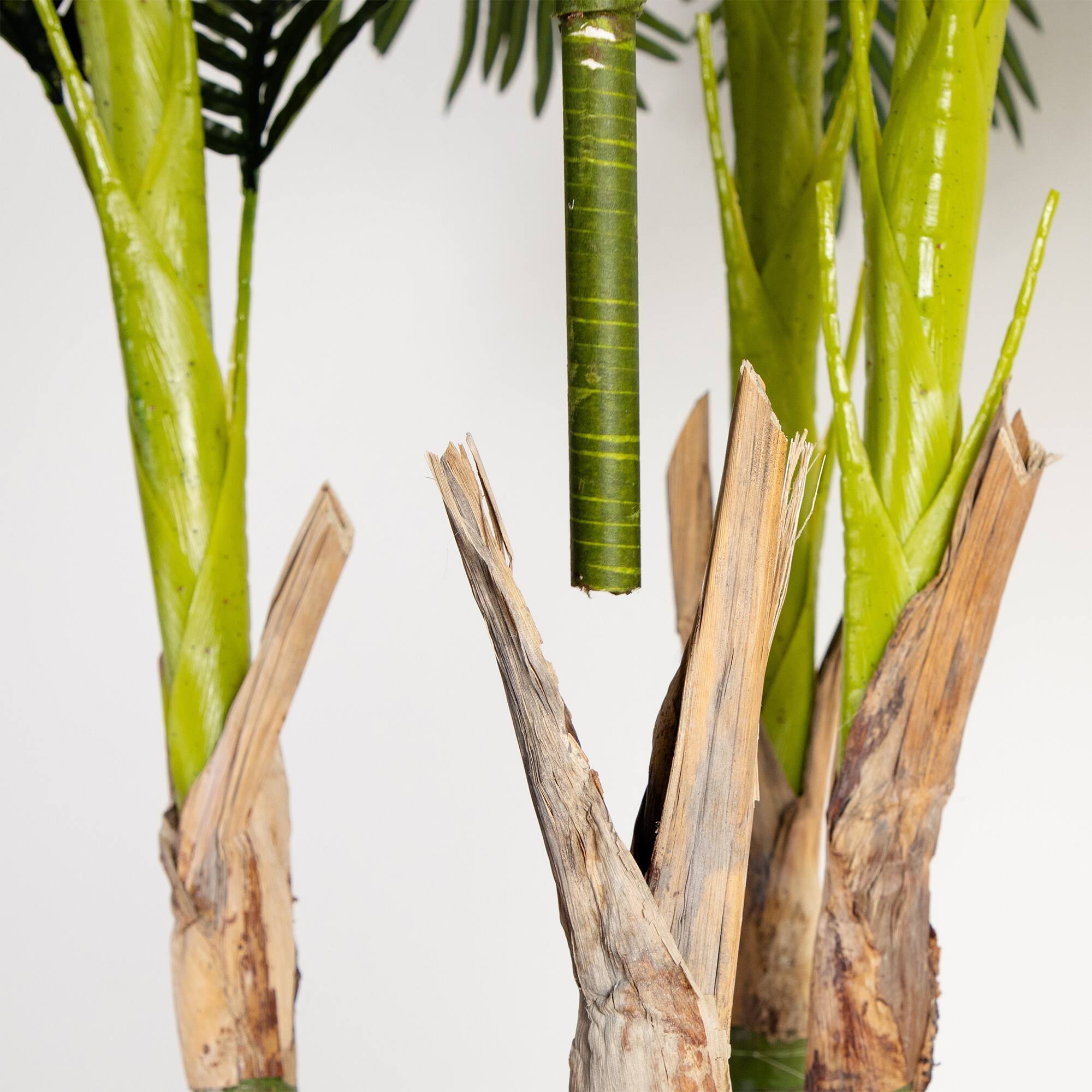 9.5ft. Potted Giant 5 Stalk Areca Palm Tree